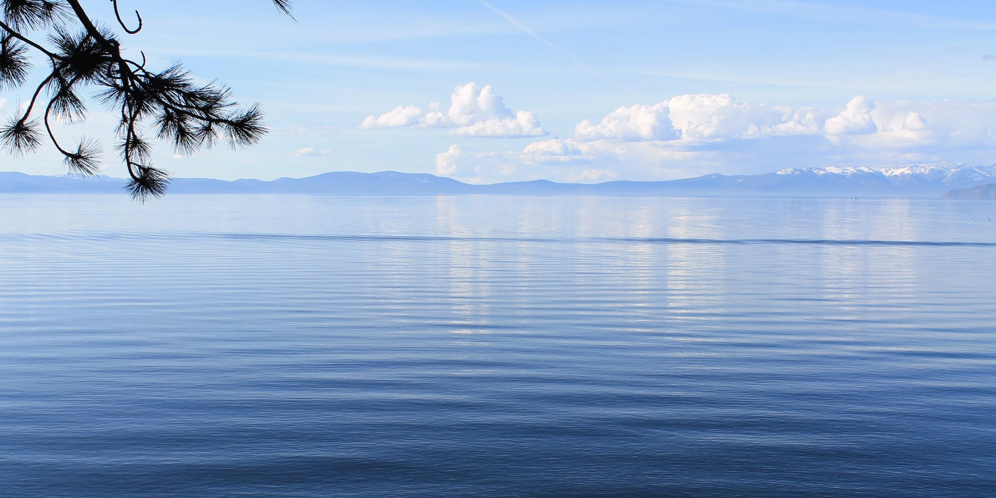 Trans Tahoe Relay Swimming Lake Tahoe, Nevada